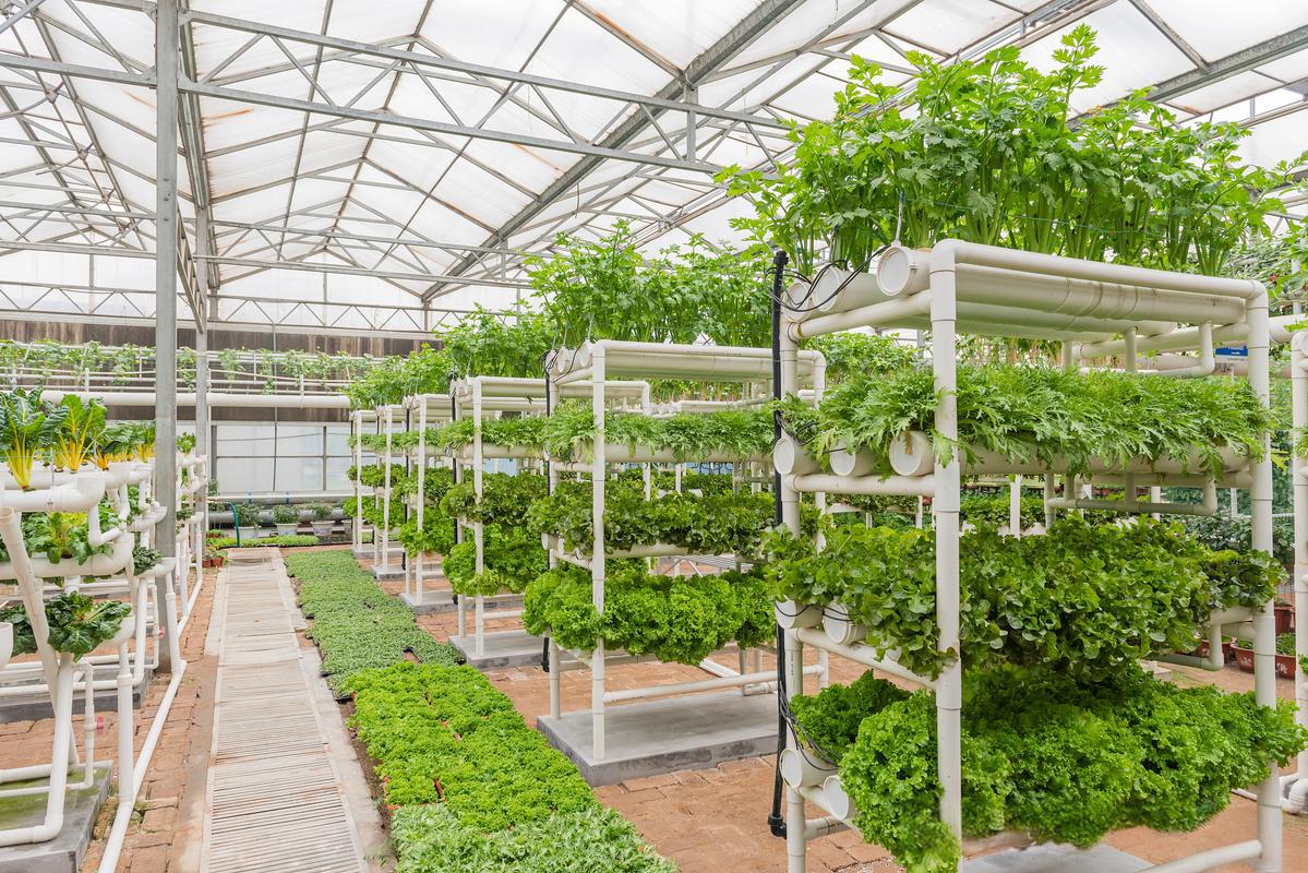 智能大棚环境监测